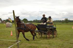 3. Srečanje kočij in konjenikov na Grabah 9